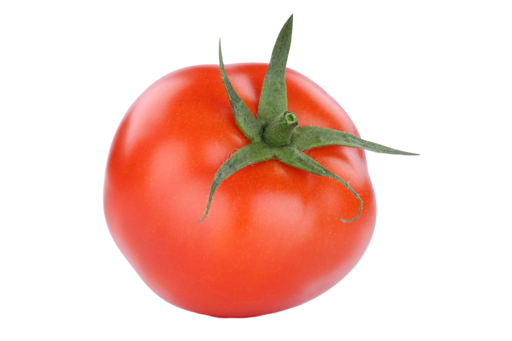 Tomàquet